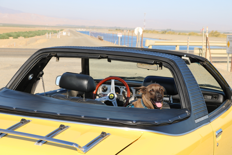 Illustration for article titled Harris Ranch C&C, Toby, and Sunchaser photodump